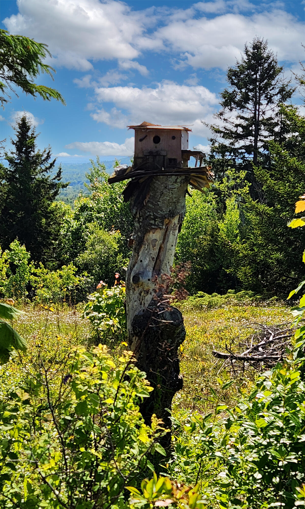 533 Mount Ephraim Map 4 Lot 63 Road, Searsport, ME, 04974