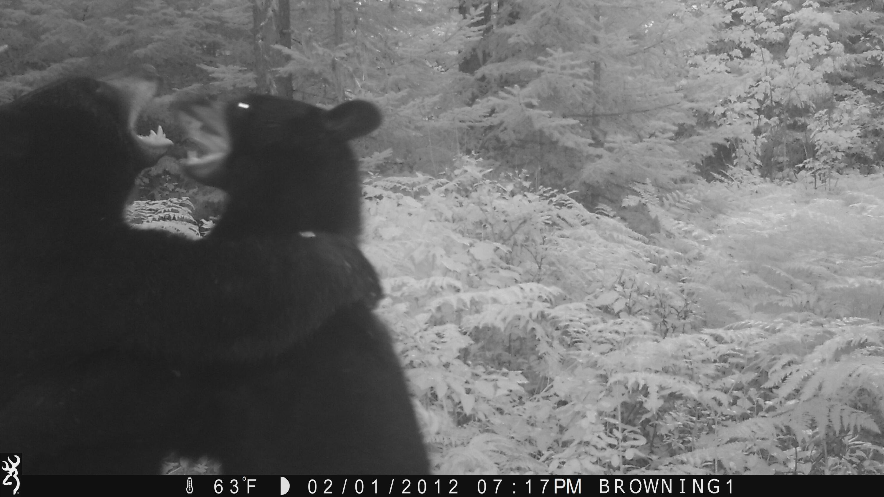 Lot UNIT&nbsp;3 Pleine Road, Saint Agatha, ME, 04772