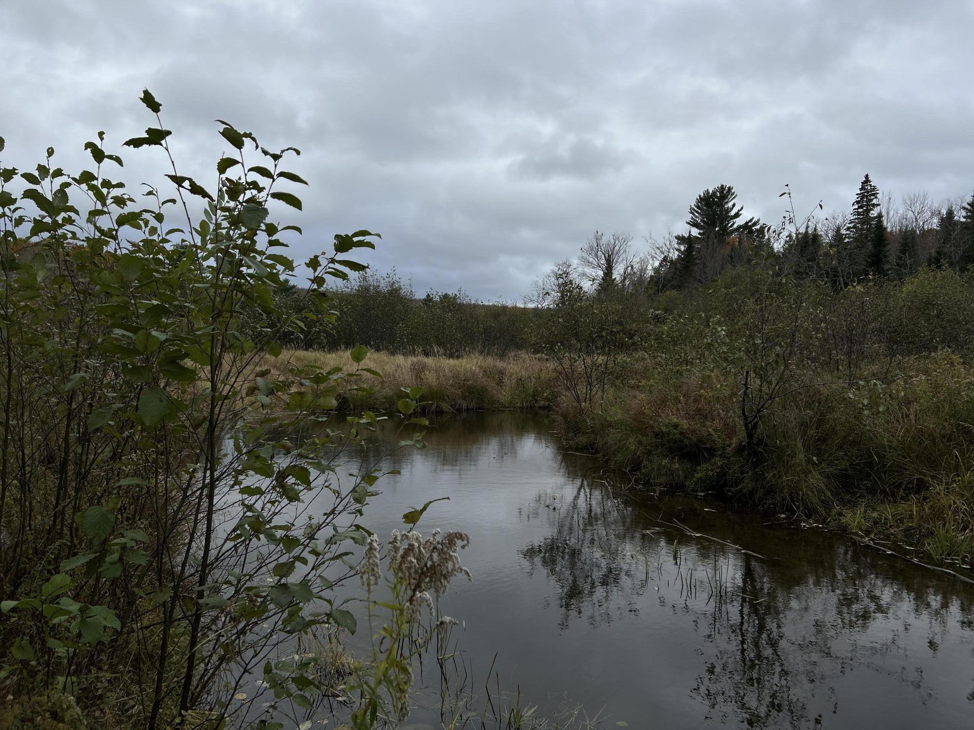 M4L18 Bog Road, Jackson, ME, 04921