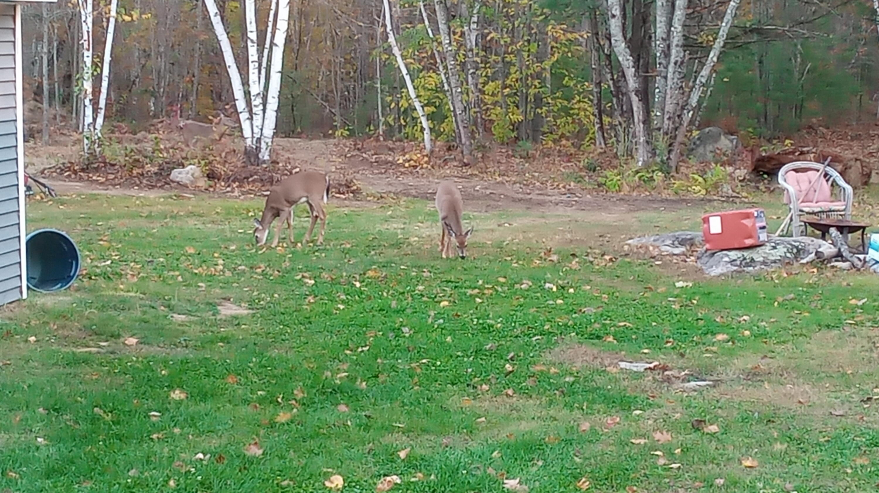 35 Pierce Road, Oxford, ME, 04270