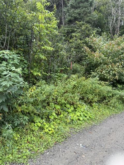 Aroostook County