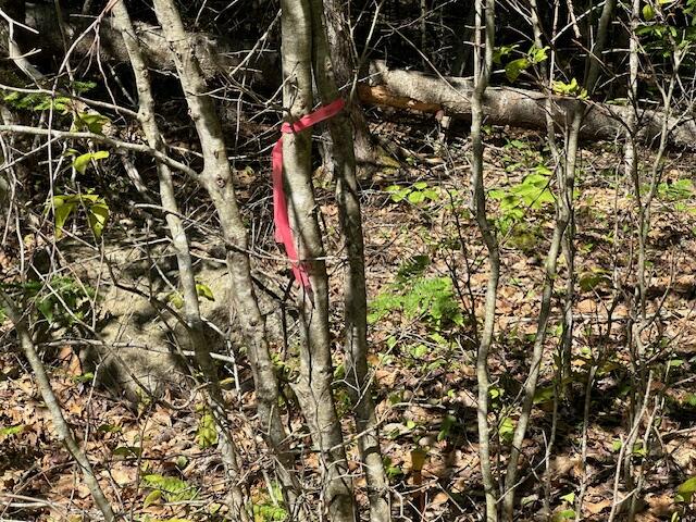 Lot UNIT&nbsp;6 Bonnie Way, Winterport, ME, 04496