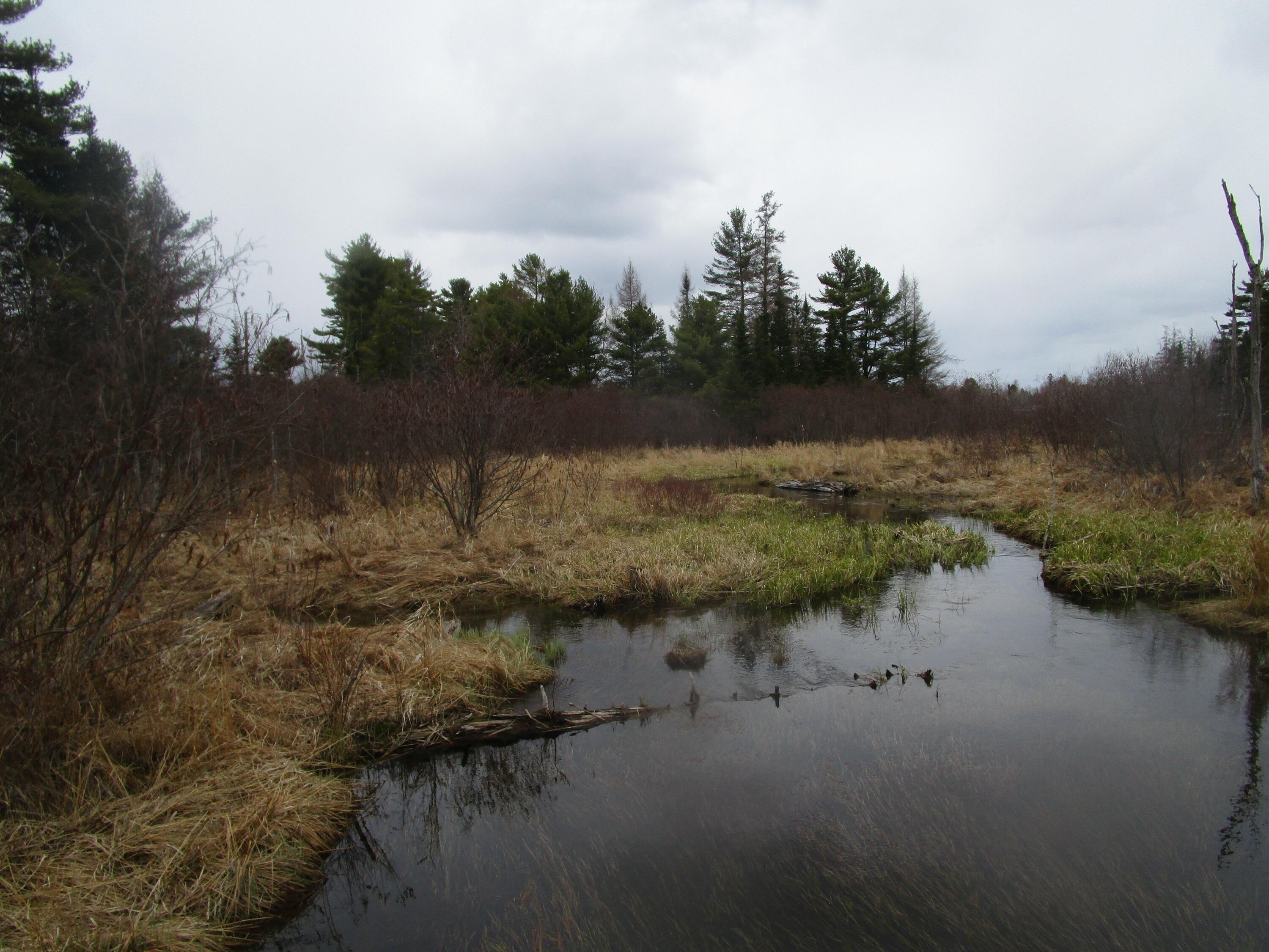 Rt 180 Rebel Hill Road, Clifton, ME, 04428