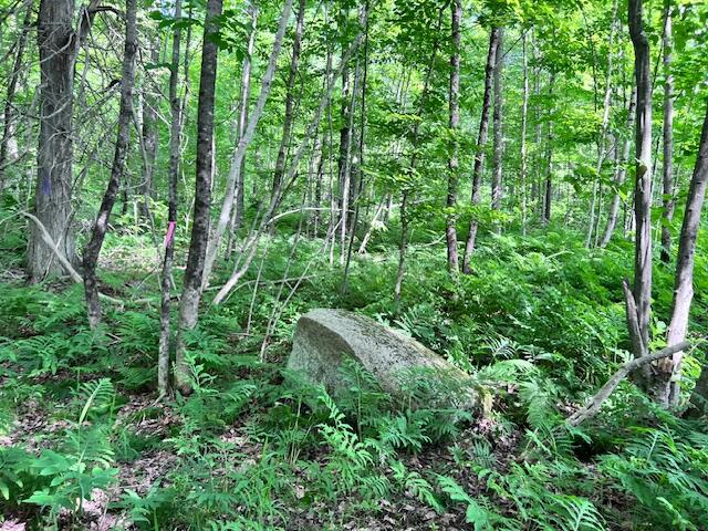 Lot  14D-2 Music Road, Farmington, ME, 04938