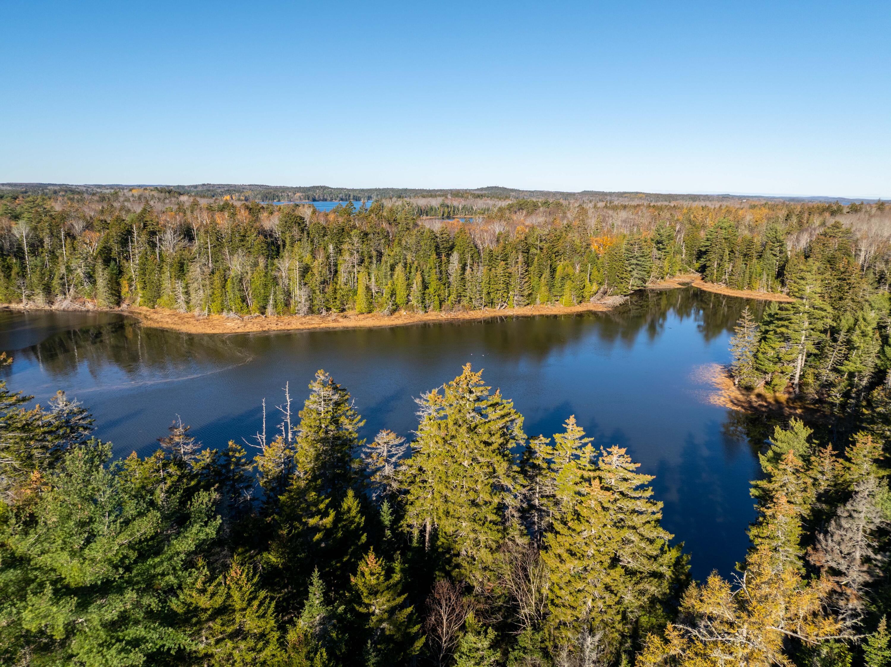 01-4 WA035, Trescott Twp, ME, 04652