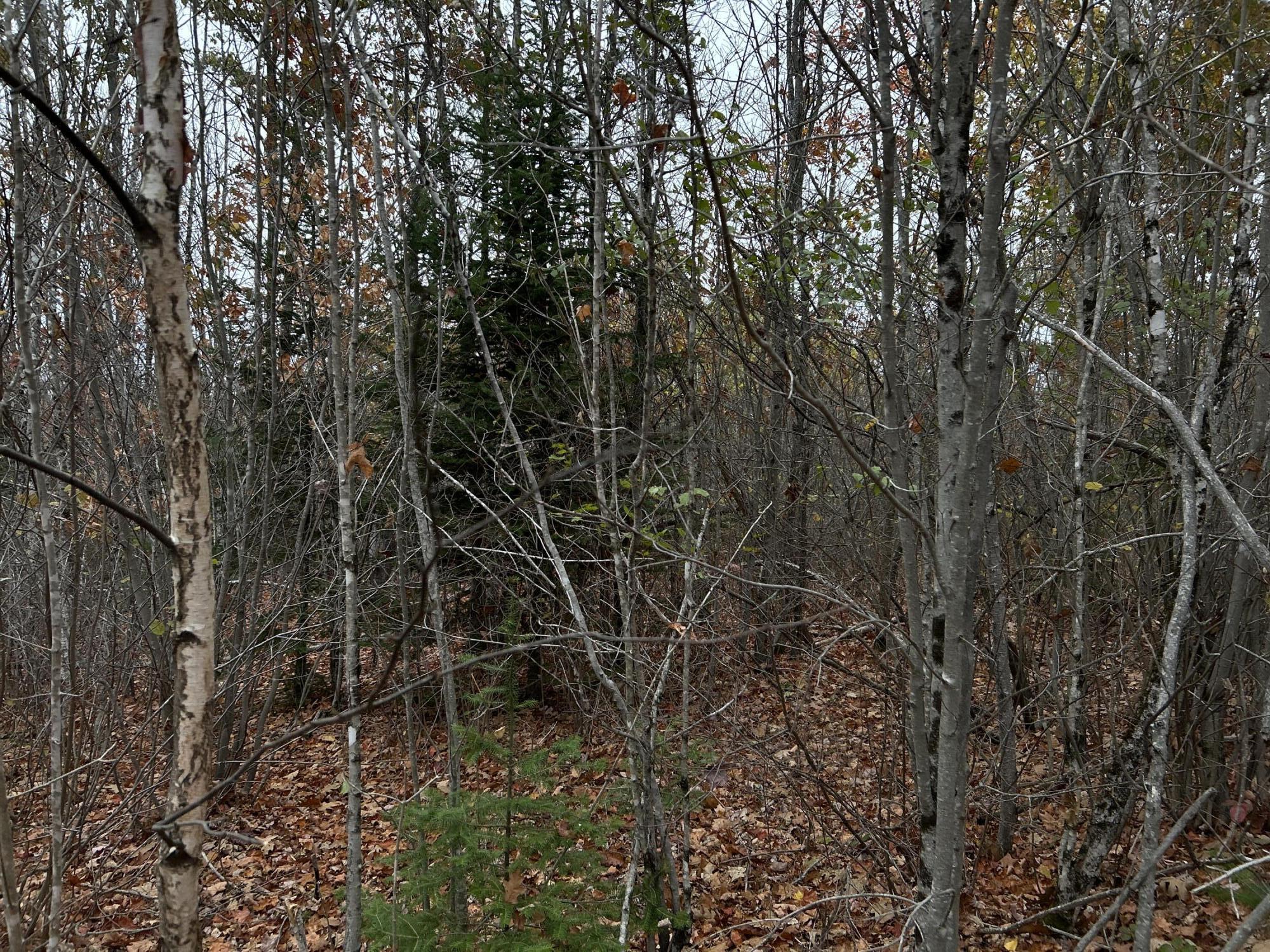 M4L18 Bog Road, Jackson, ME, 04921