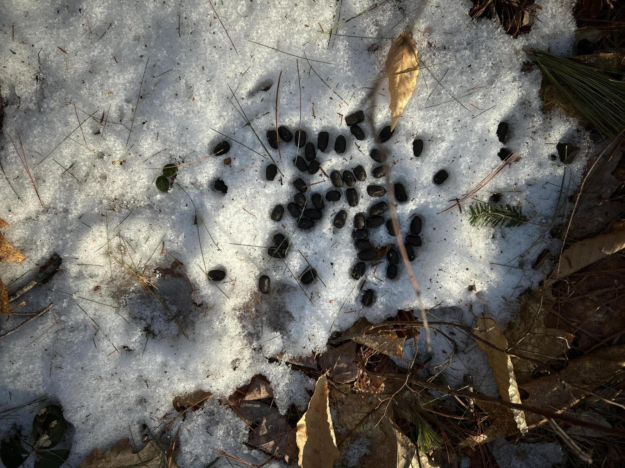 Map13Lot11 Field View Road, Fryeburg, ME, 04037