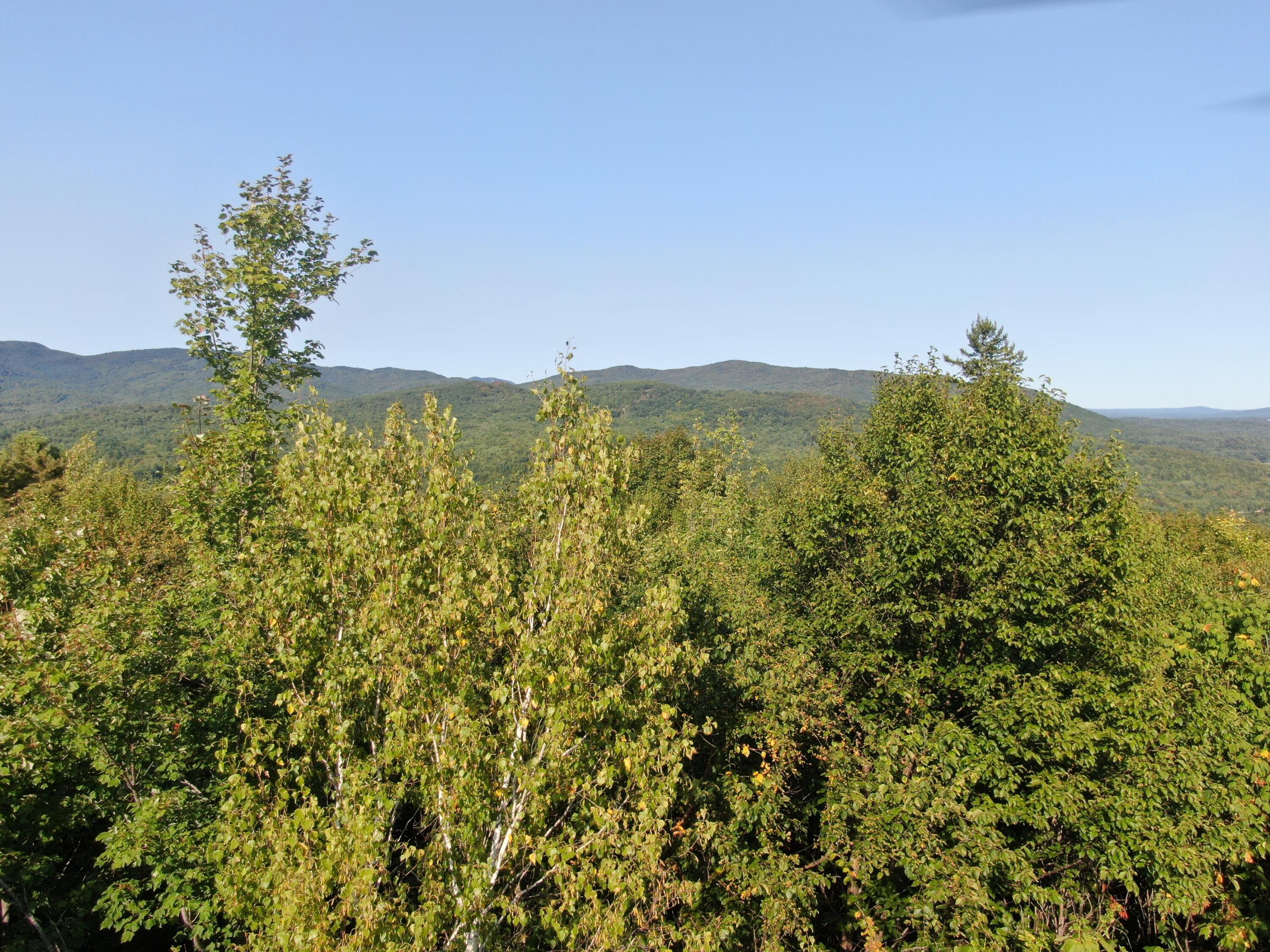 LotUNIT&nbsp;55 Arlines Way, Woodstock, ME, 04219