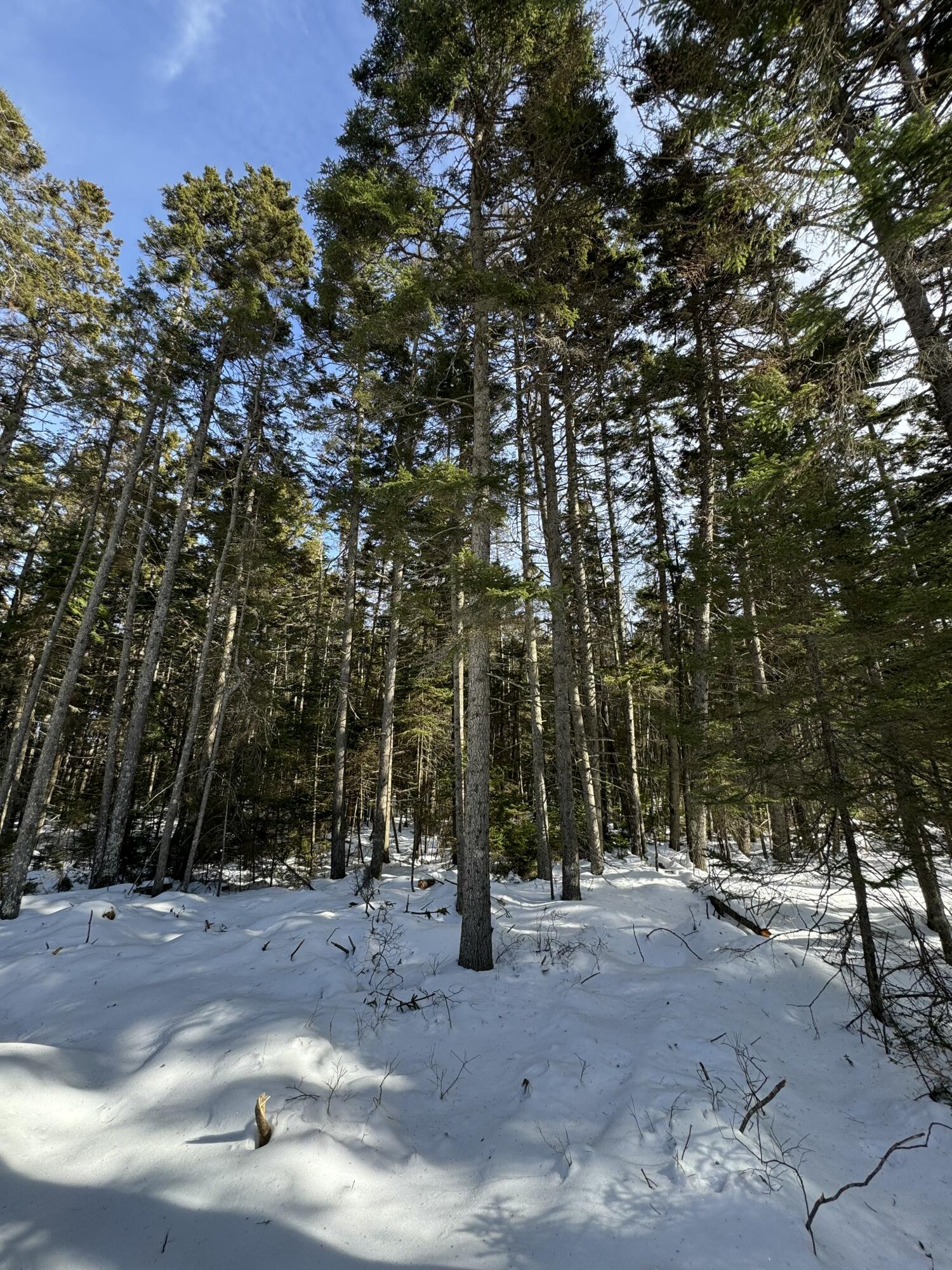 12 Jamestown Road, Vinalhaven, ME, 04863