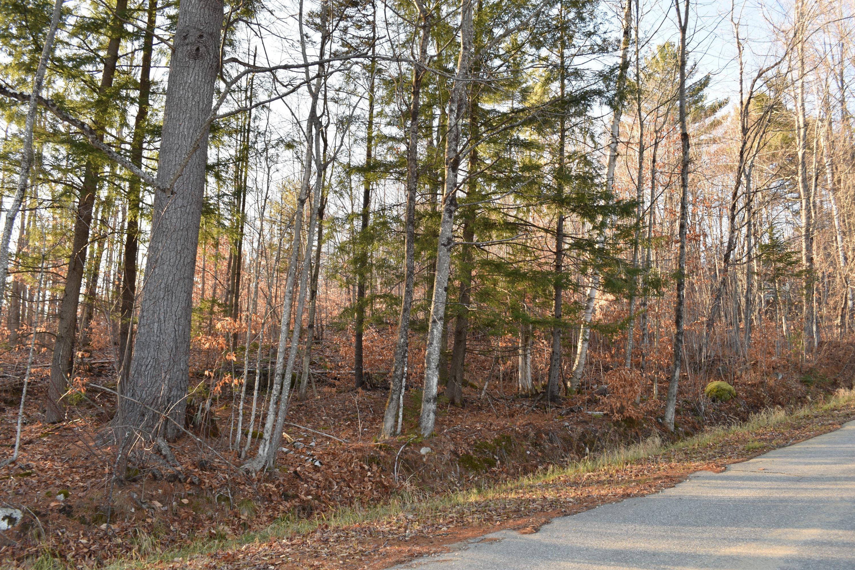 00 Chapman Hill Rd., Bethel, ME, 04217