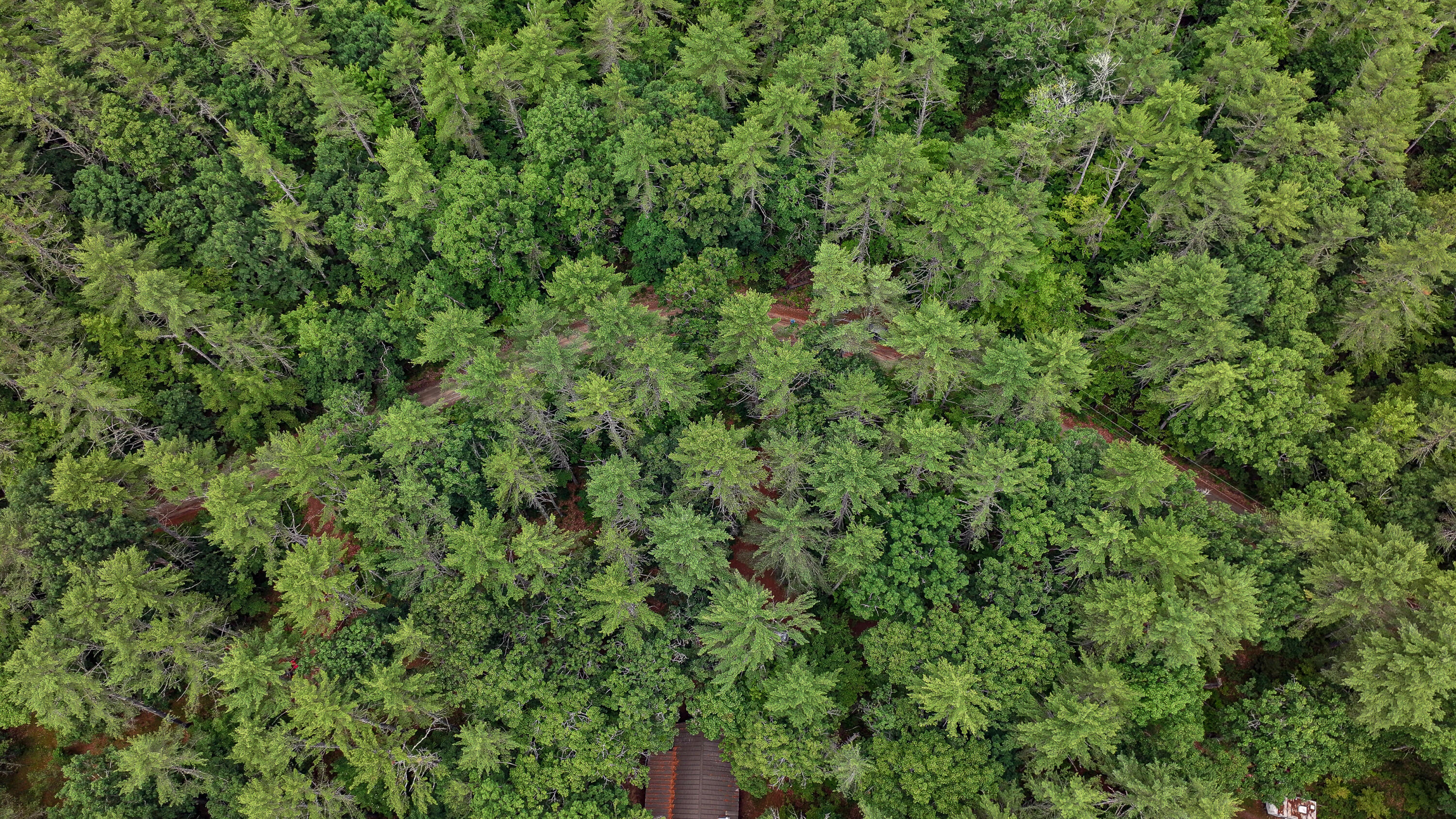 62-B Long Pond Drive, Denmark, ME, 04022