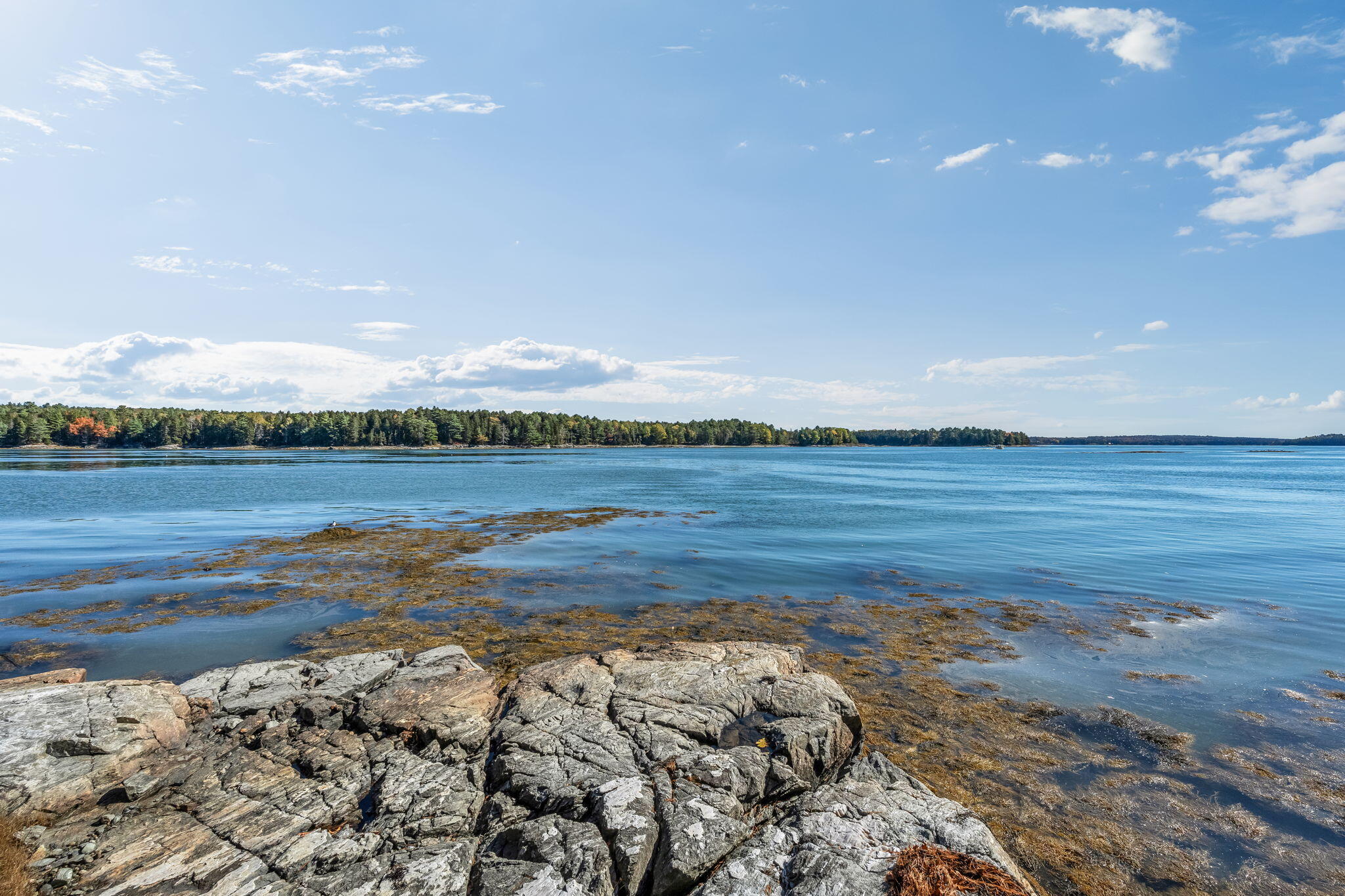 82 Falcon Lane, Lamoine, ME, 04605