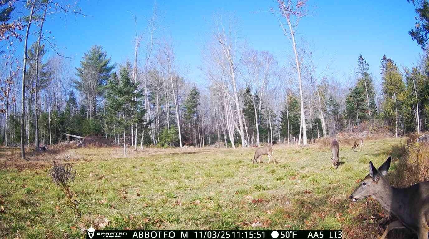 22 Monument Road, Abbot, ME 04406 HSDM4166
