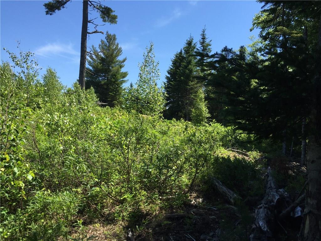 65 Lookout Mountain Road, East Machias, ME, 04630