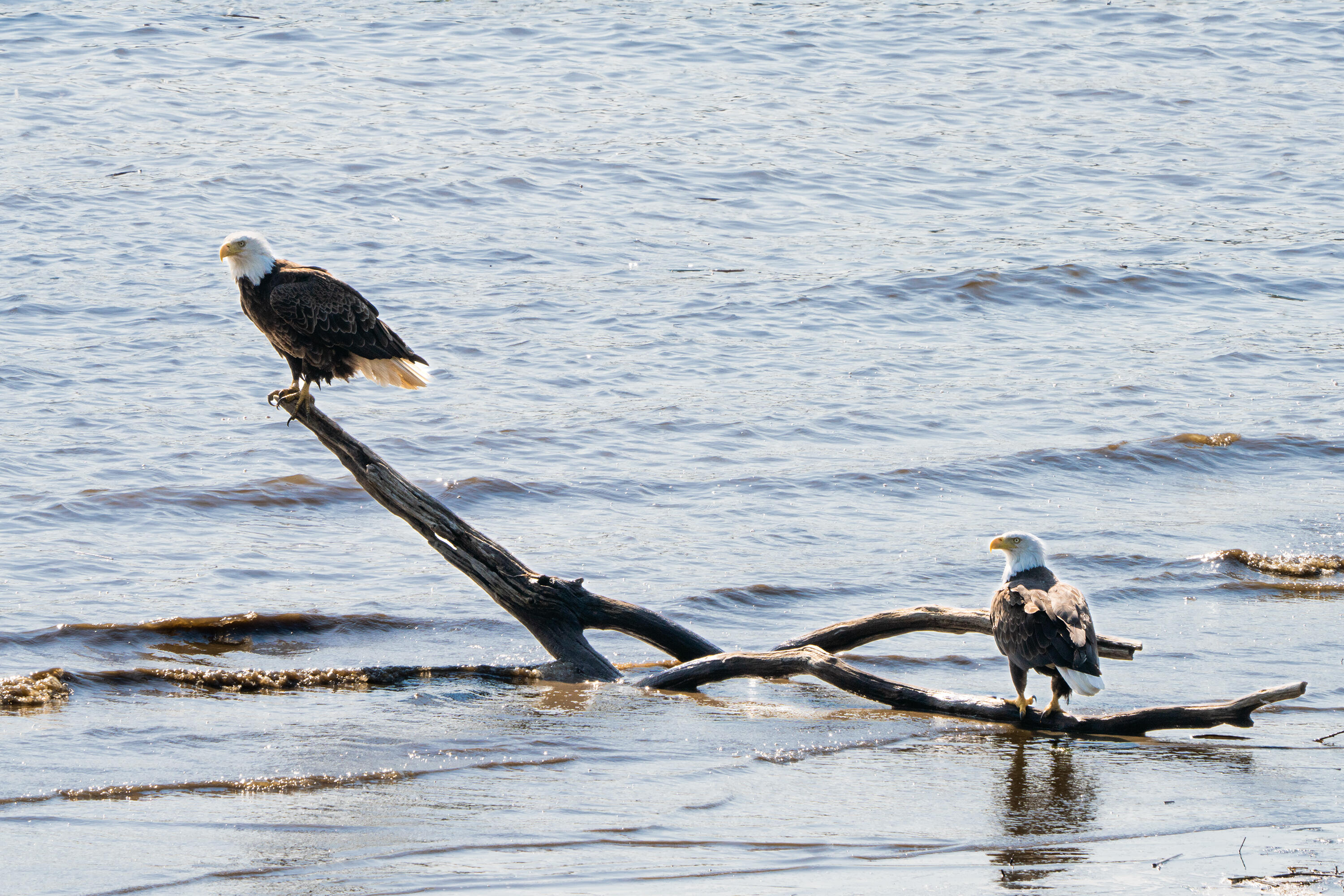 46 River Edge Drive, Woolwich, ME, 04579