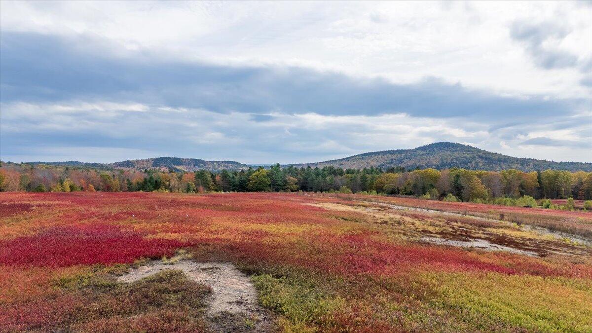 423 Beech Hill Road, Northport, ME, 04849