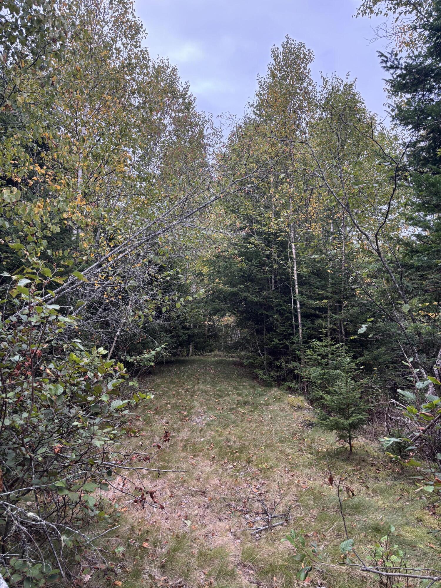 M20L2 East Side Road, Addison, ME, 04606