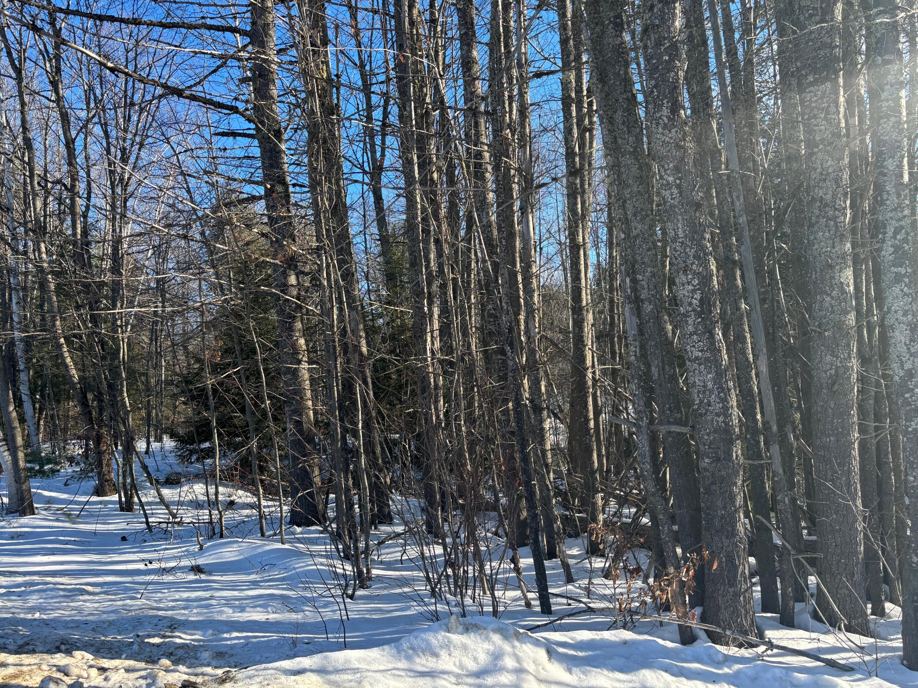 Lot 15-023 Intervale Road, Bethel, ME, 04217