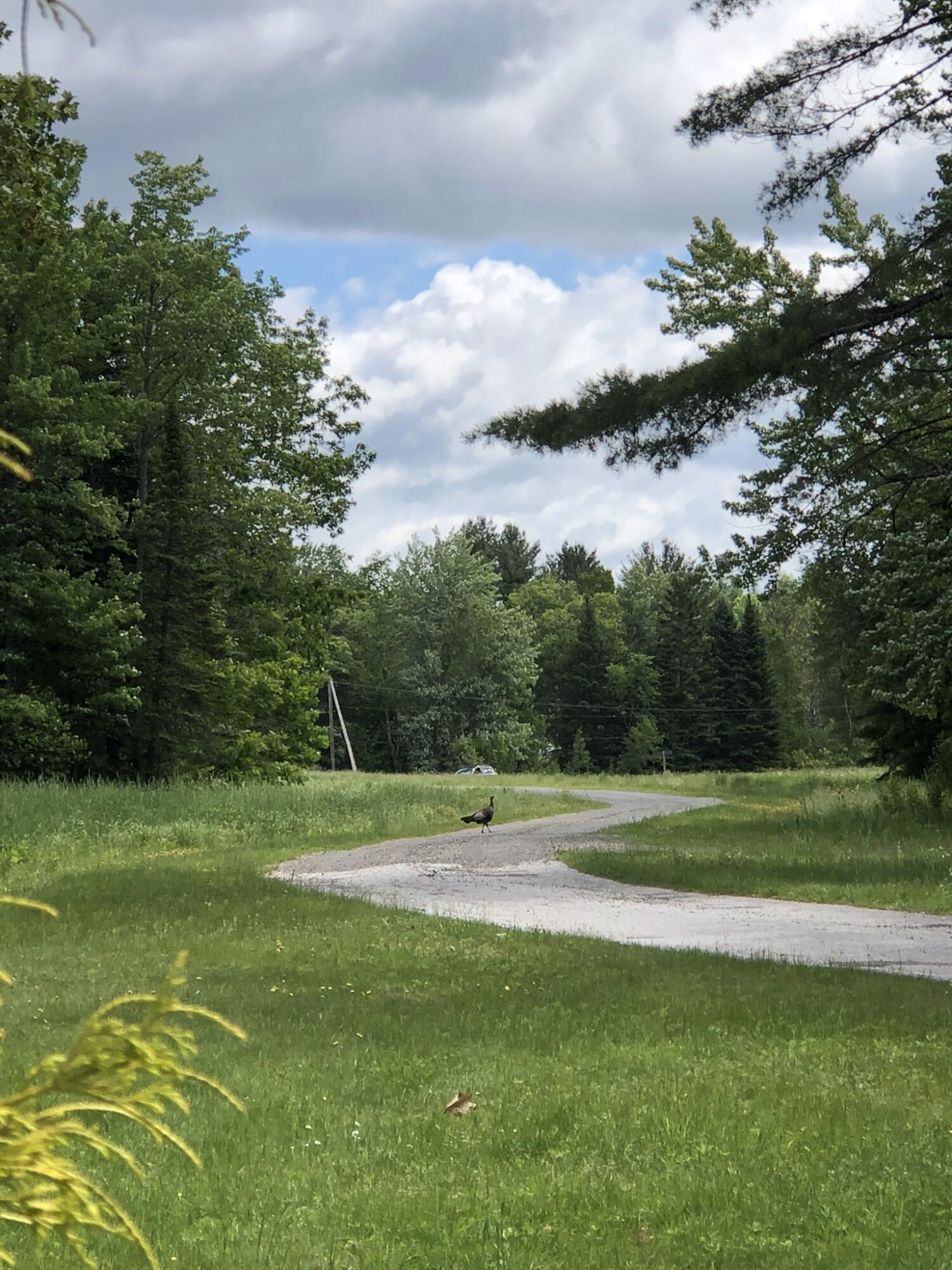 474 N Howland Road, Howland, ME, 04448