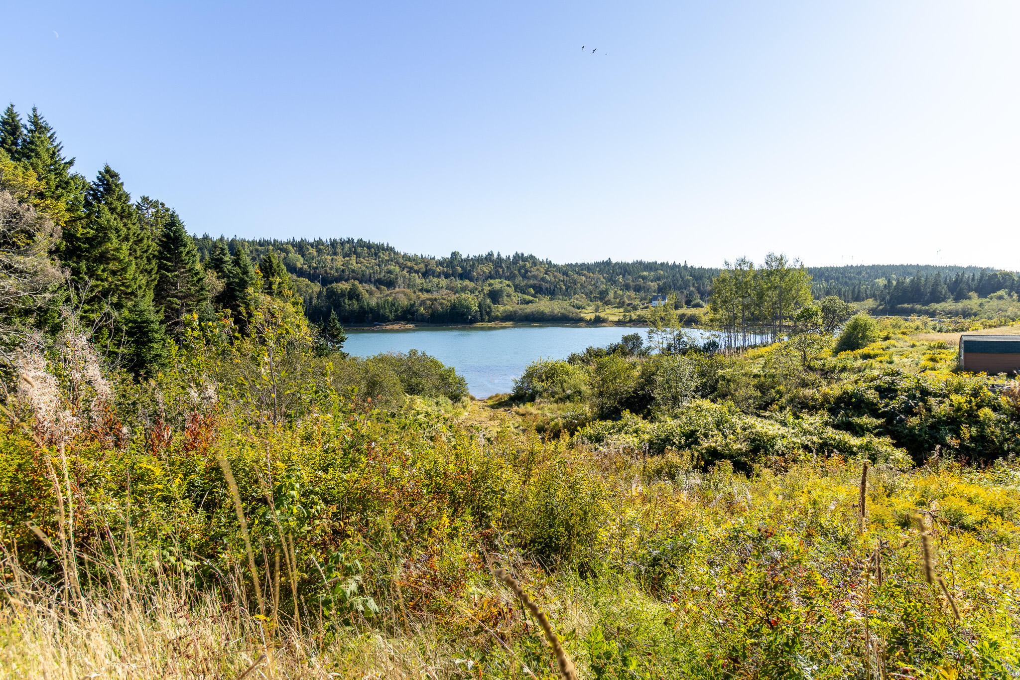 2487 Cutler Road, Cutler, ME, 04626