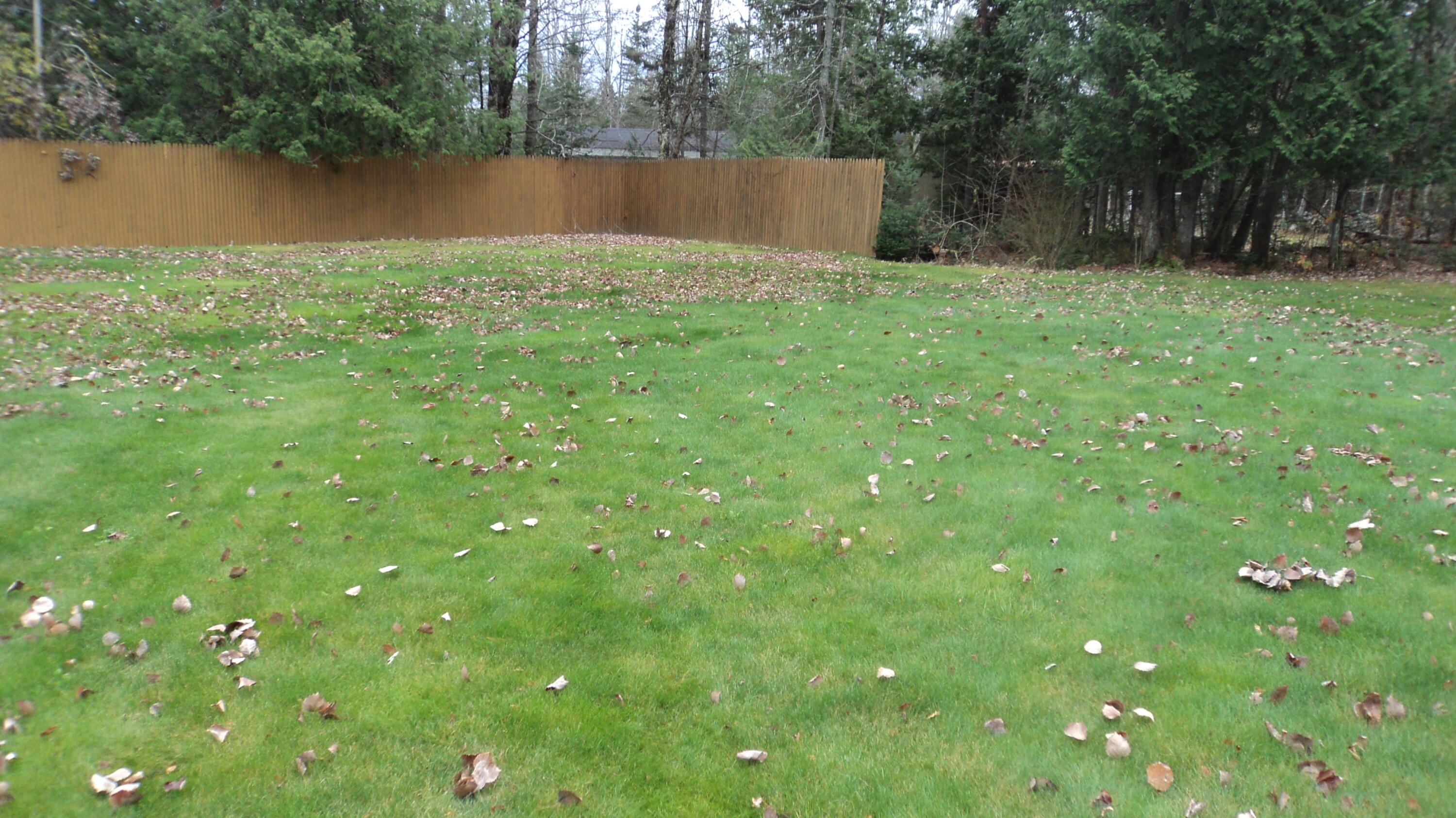 2085 Glenwood Avenue, Hermon, ME 04401 — photo 6