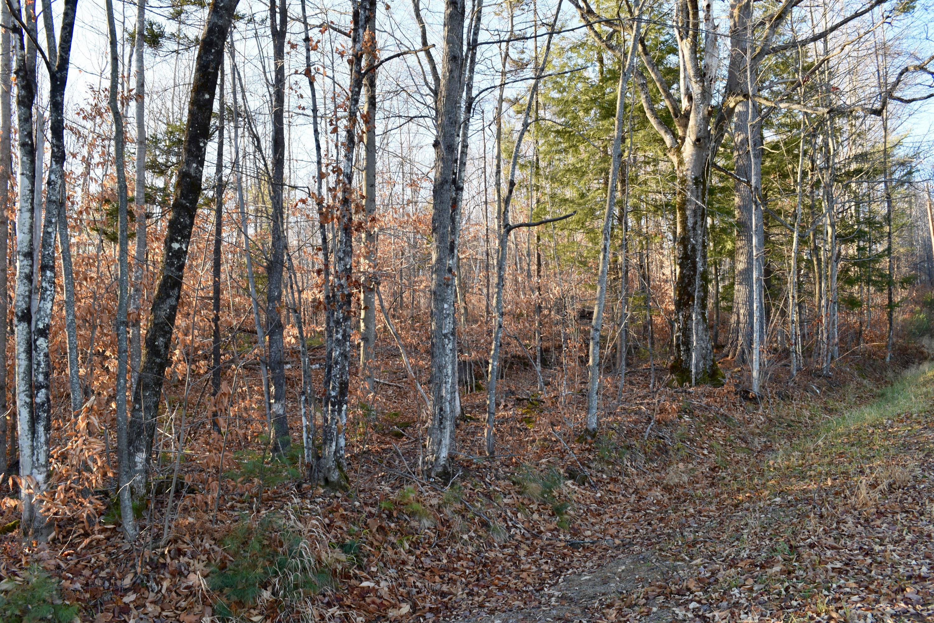 00 Chapman Hill Rd., Bethel, ME, 04217