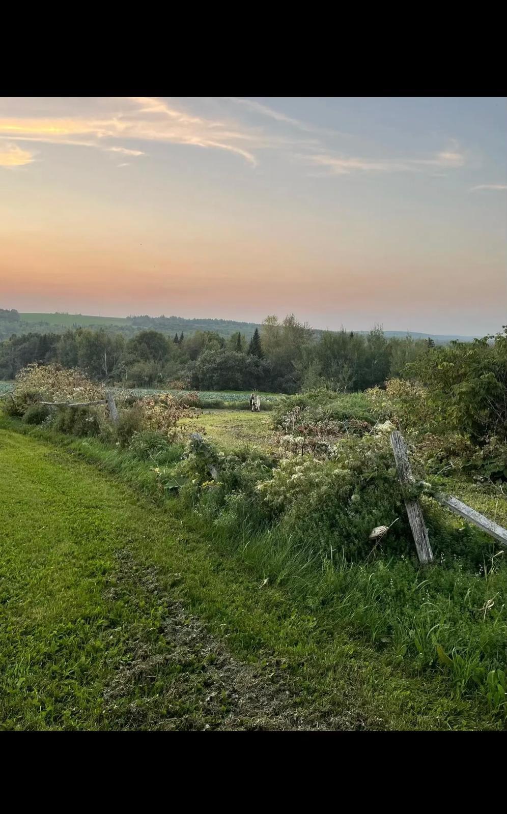 Photo of M8-L16 Grendell Road Chapman ME 04757