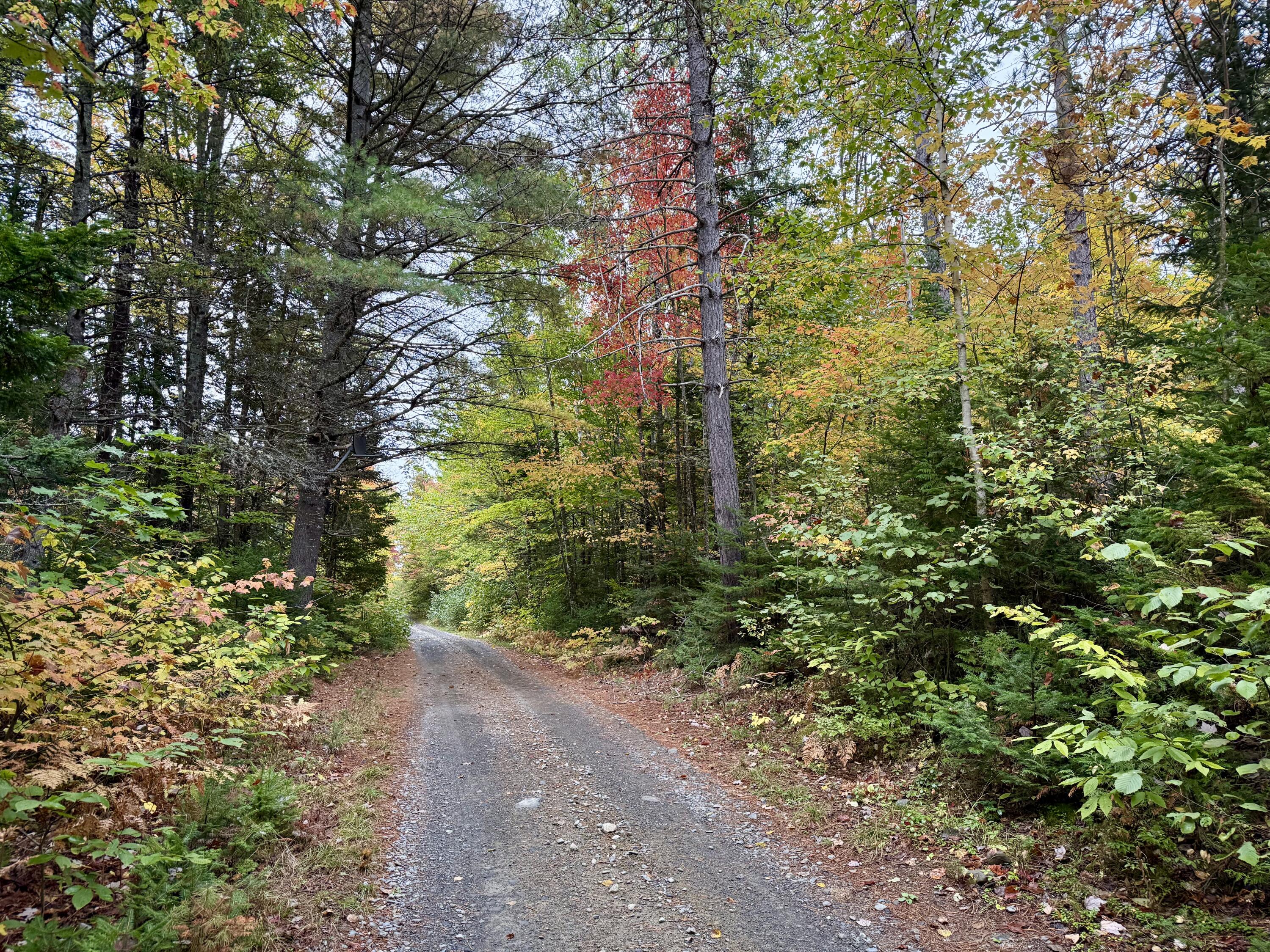 Photo of 5 Greenleaf Road Abbot ME 04406