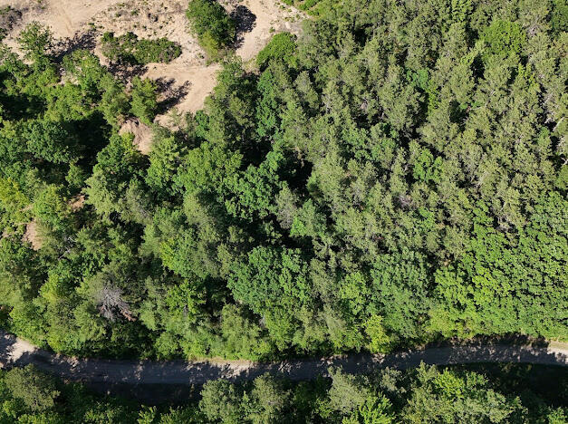 Photo of Lot 23, F1 Little Poverty Pond Road Shapleigh ME 04076