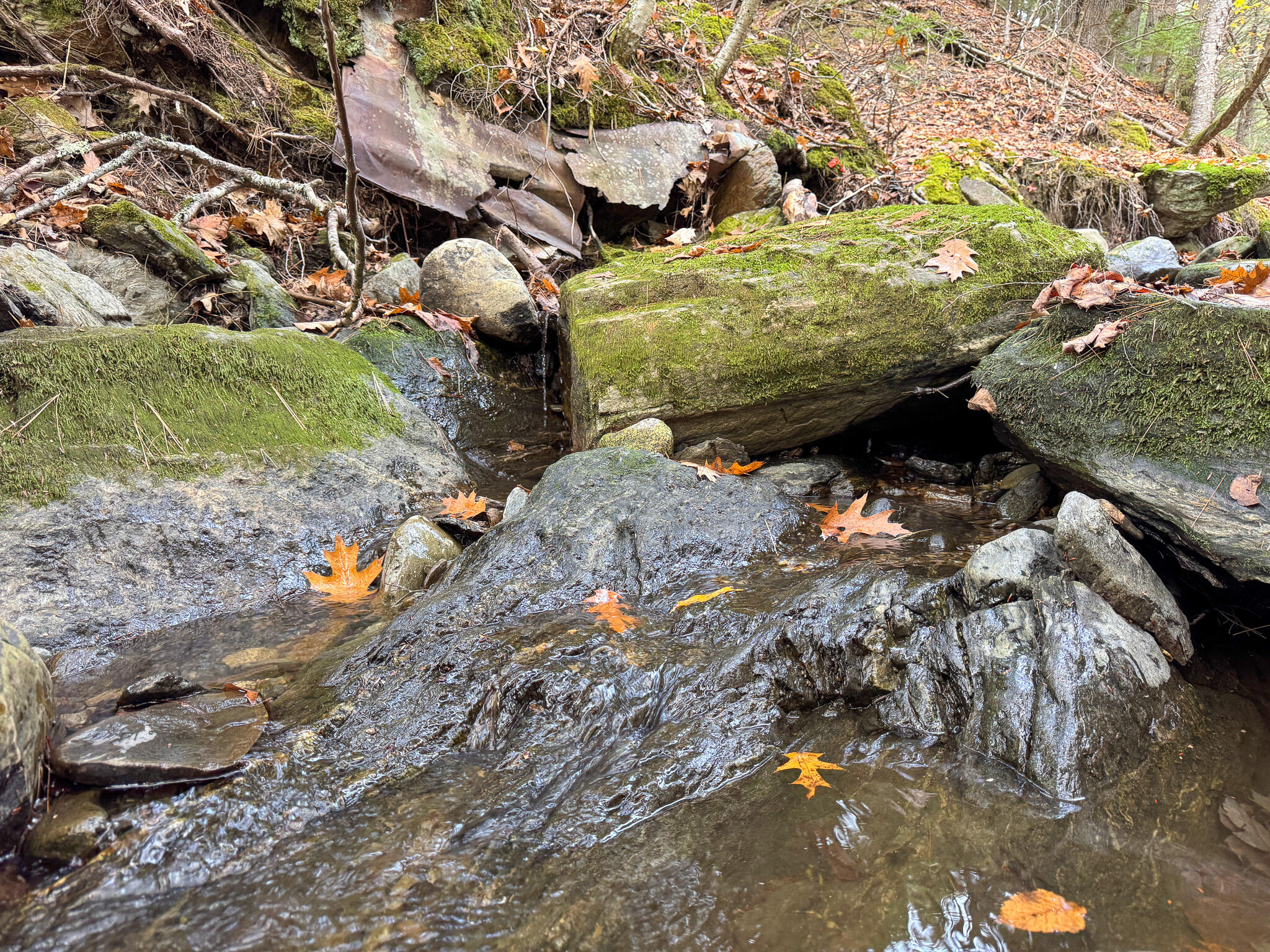 Lot 2 Darci Lane, Montville, ME, 04941