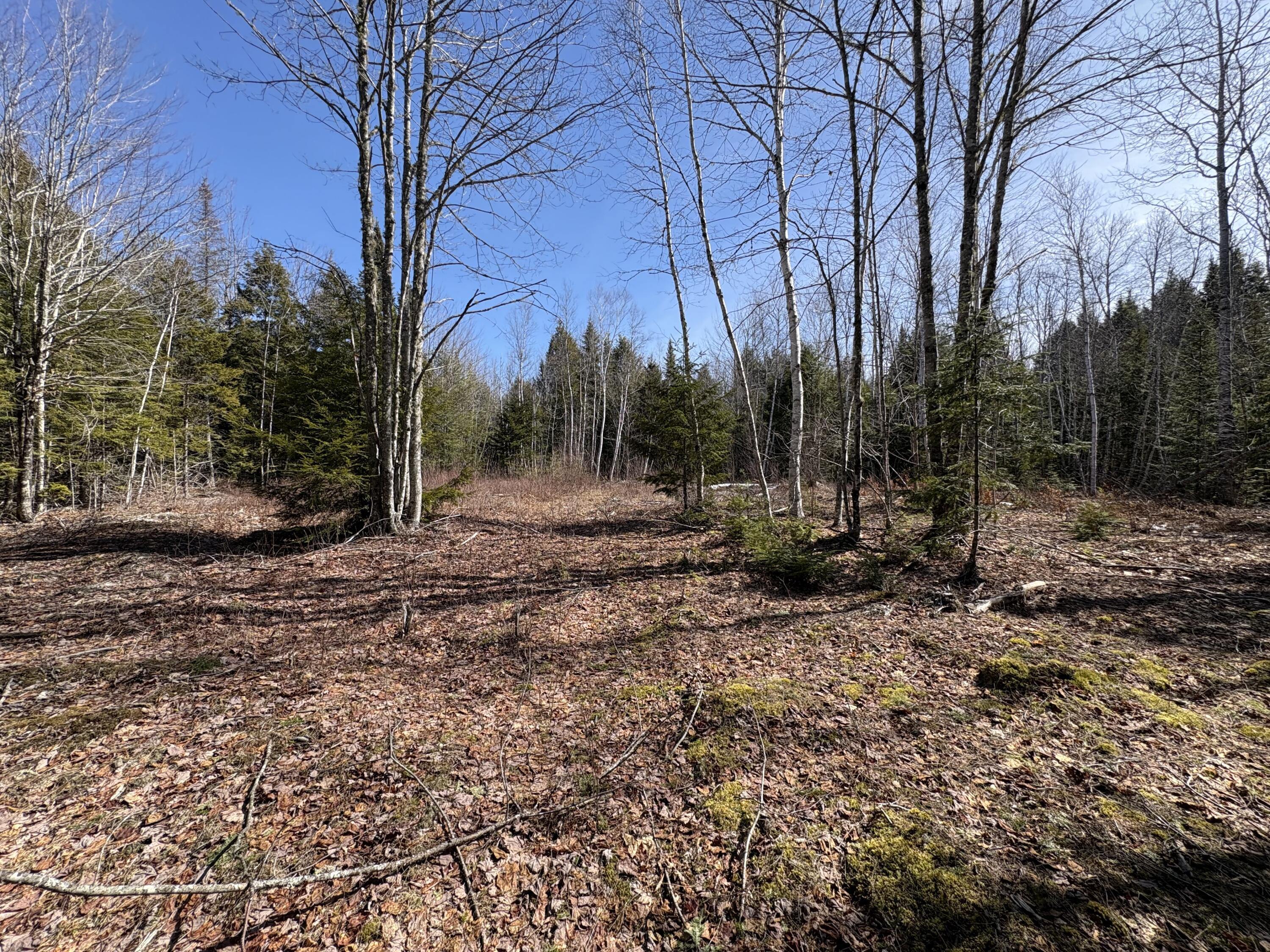 Lot 116 Bass Overlook, Waltham, ME, 04605