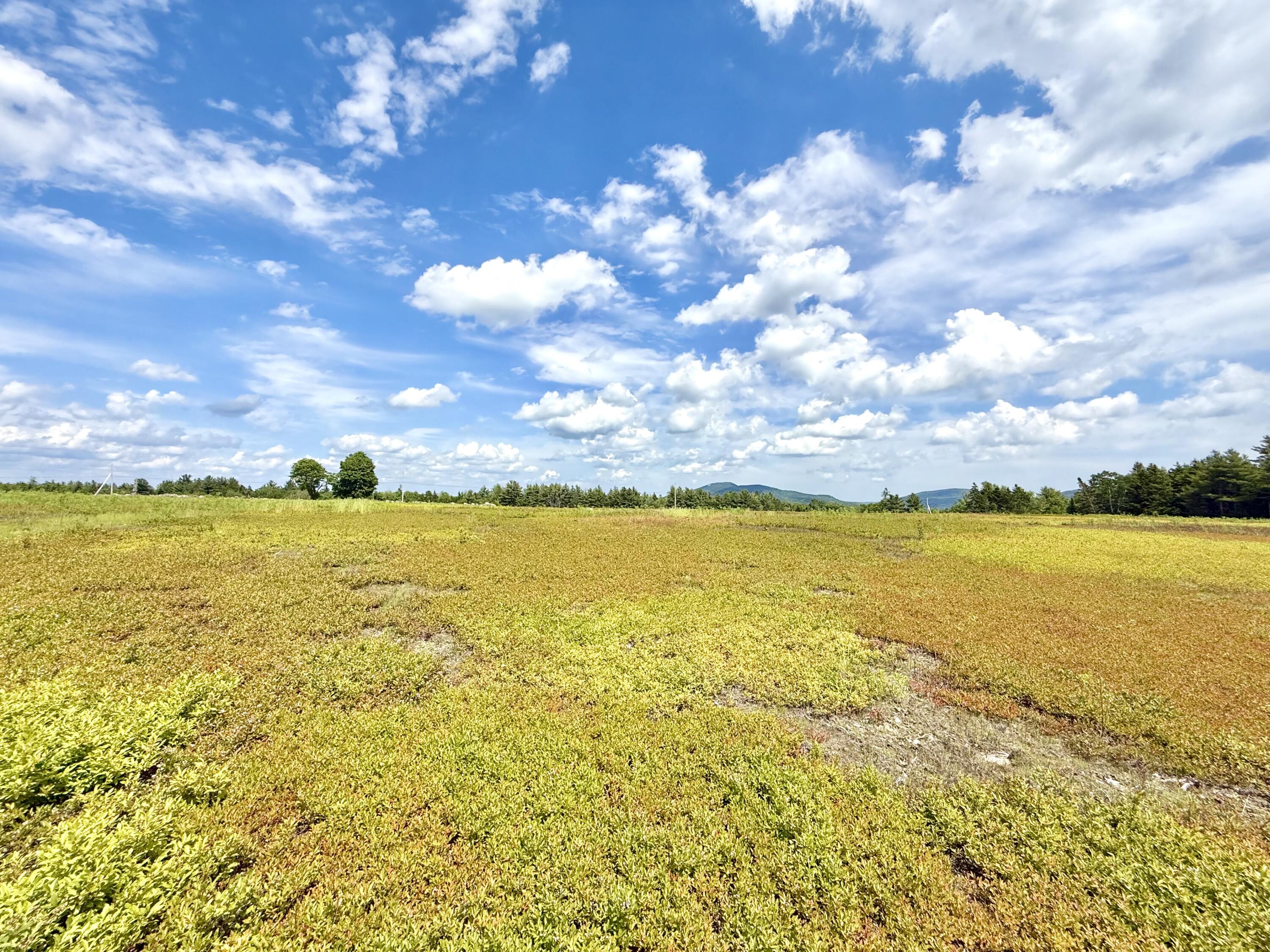 MAP13LOT11 Martins Ridge Road, Franklin, ME, 04634