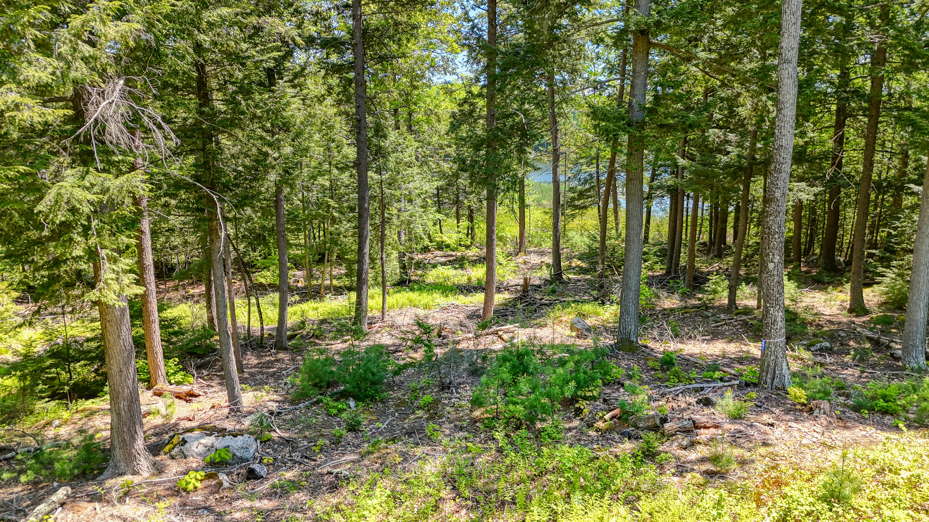 M3 L9 Winthrop Center Road, Winthrop, ME, 04364