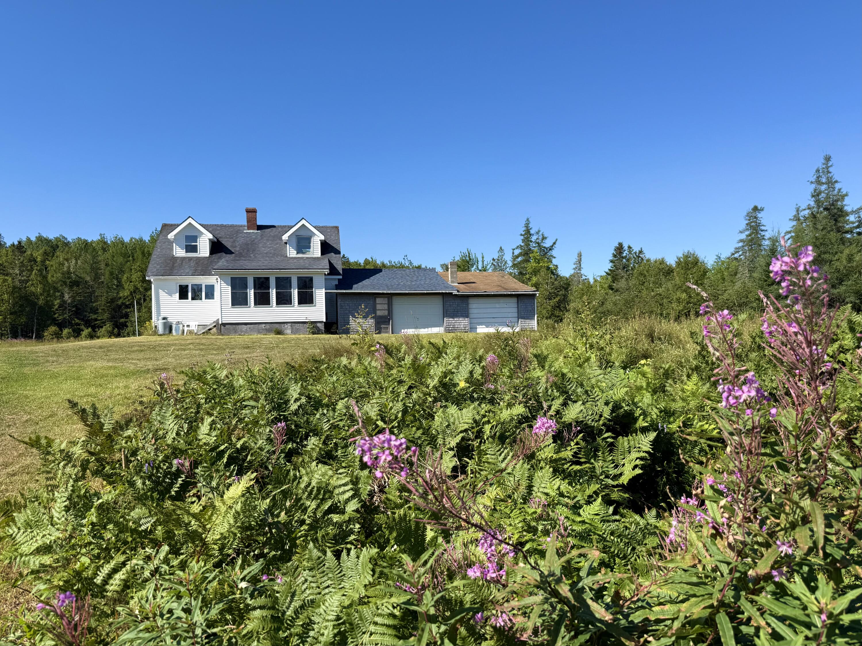 Photo of 736 Leighton Point Road Pembroke ME 04666