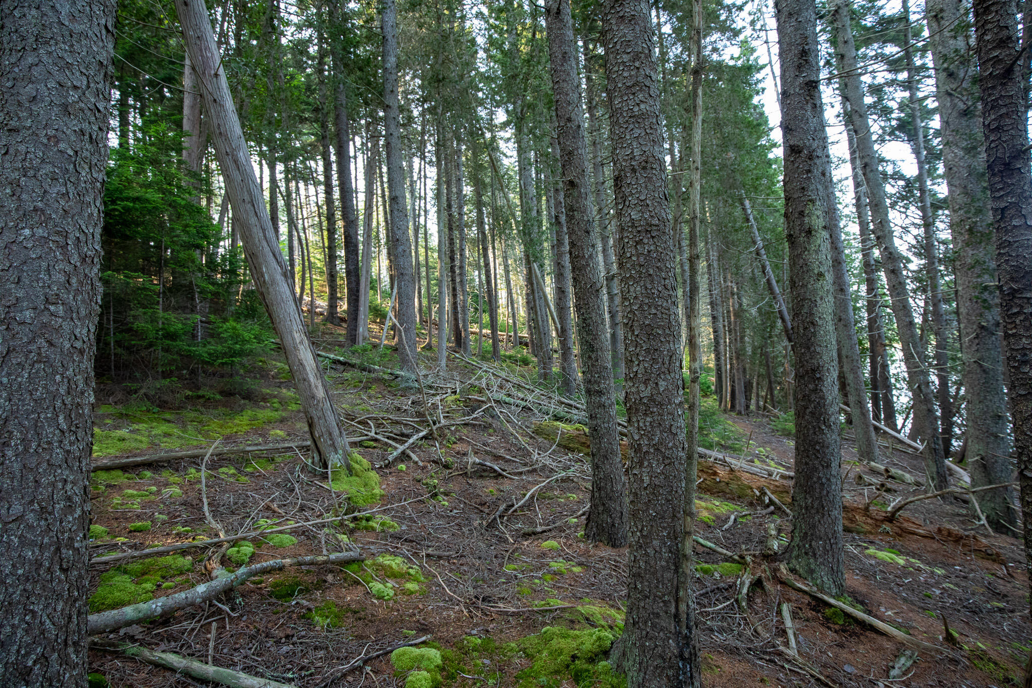 0 Bayview Road UNIT 2, Harpswell, ME, 04066