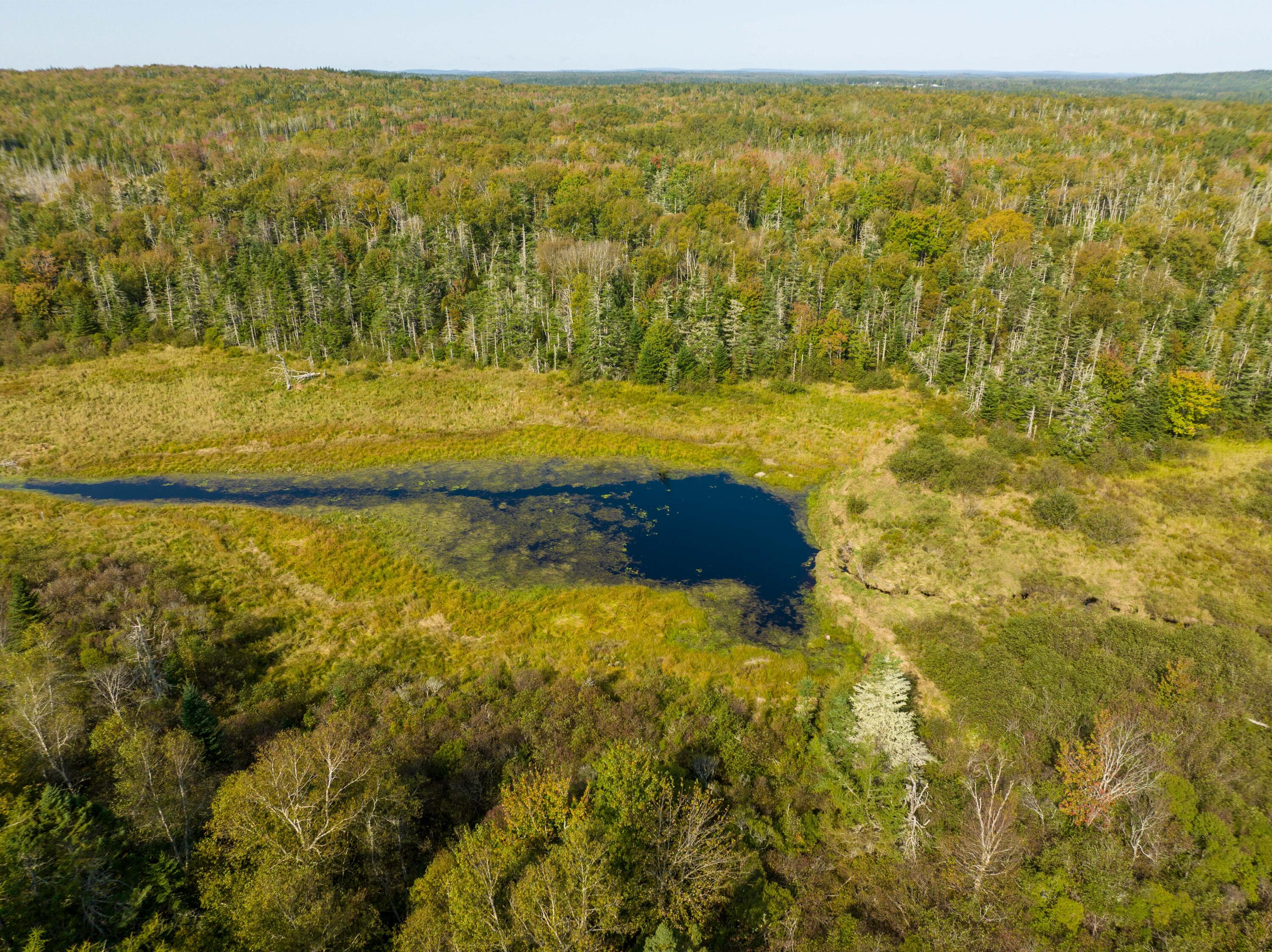 117 Denbow Road, Lubec, ME, 04652