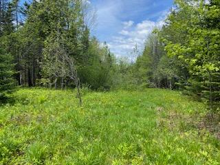 254 Eaton Road, Dexter, ME 04435 — photo 39