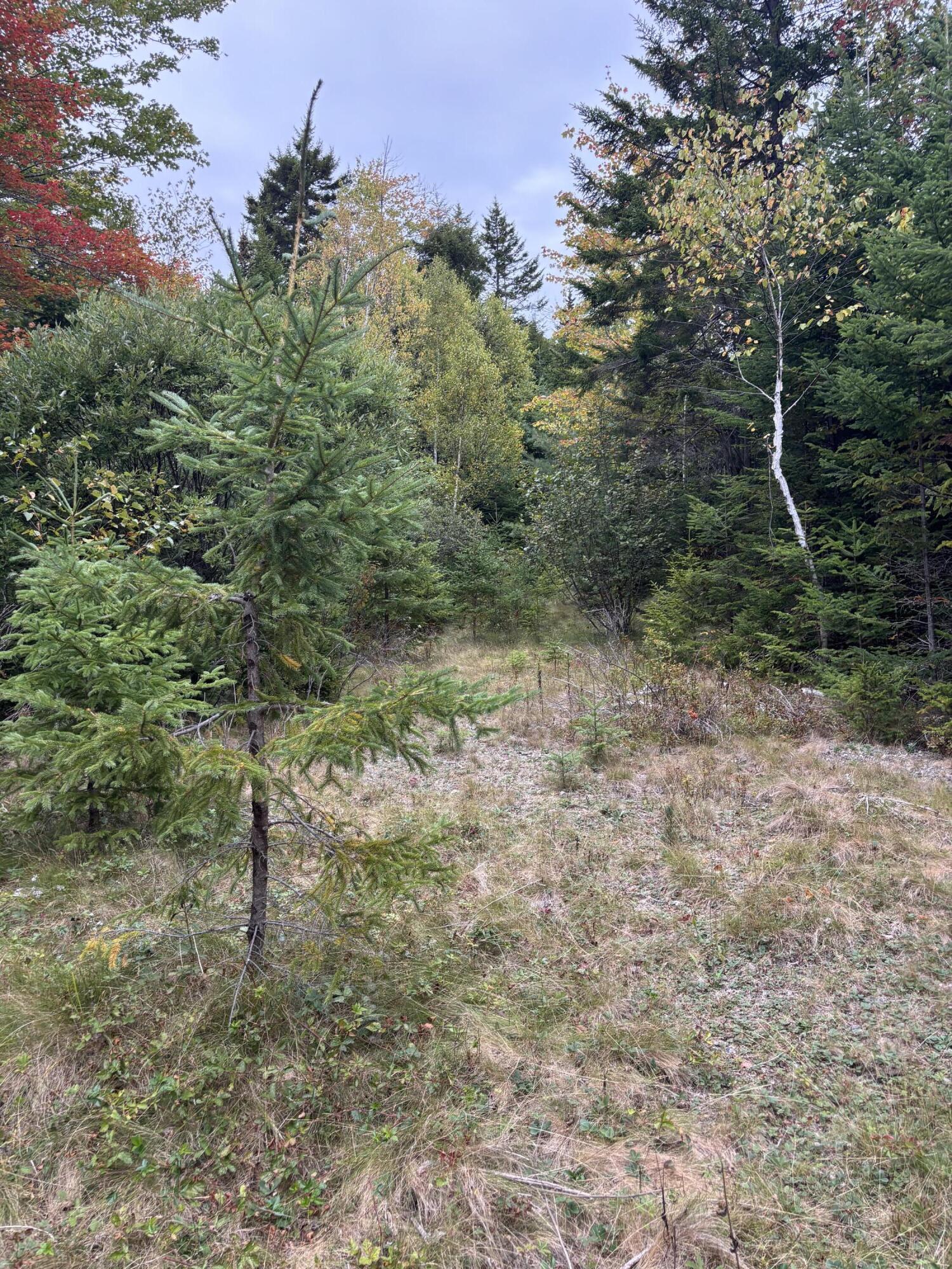 M20L2 East Side Road, Addison, ME, 04606