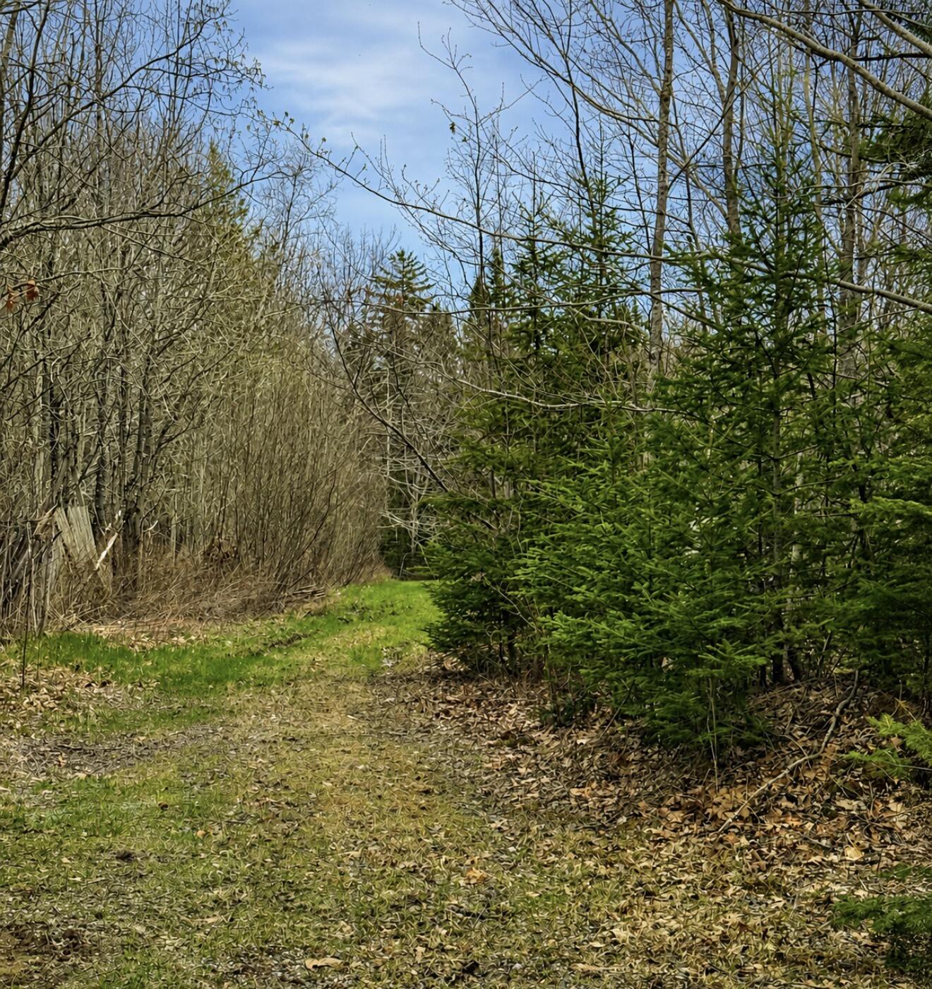 59 Beech Lane, Whitefield, ME, 04353