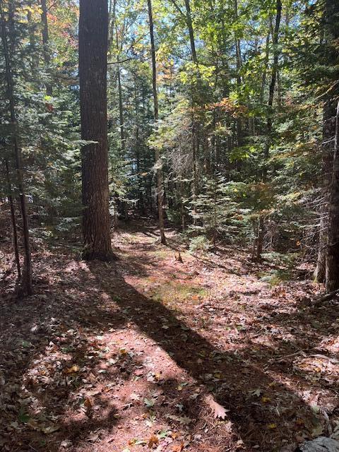 203 Garnet Head Road, Pembroke, ME, 04666