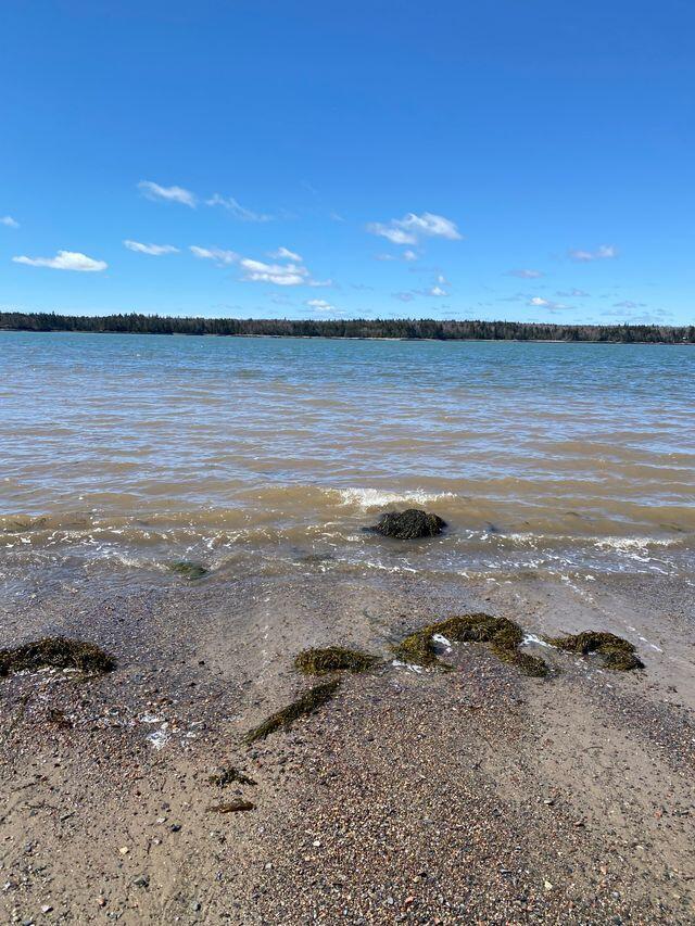 Lot 17A Yoho Head Road, Machiasport, ME, 04655