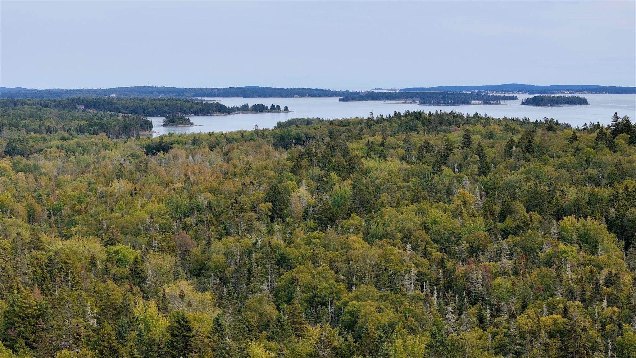 M20L2 East Side Road, Addison, ME, 04606