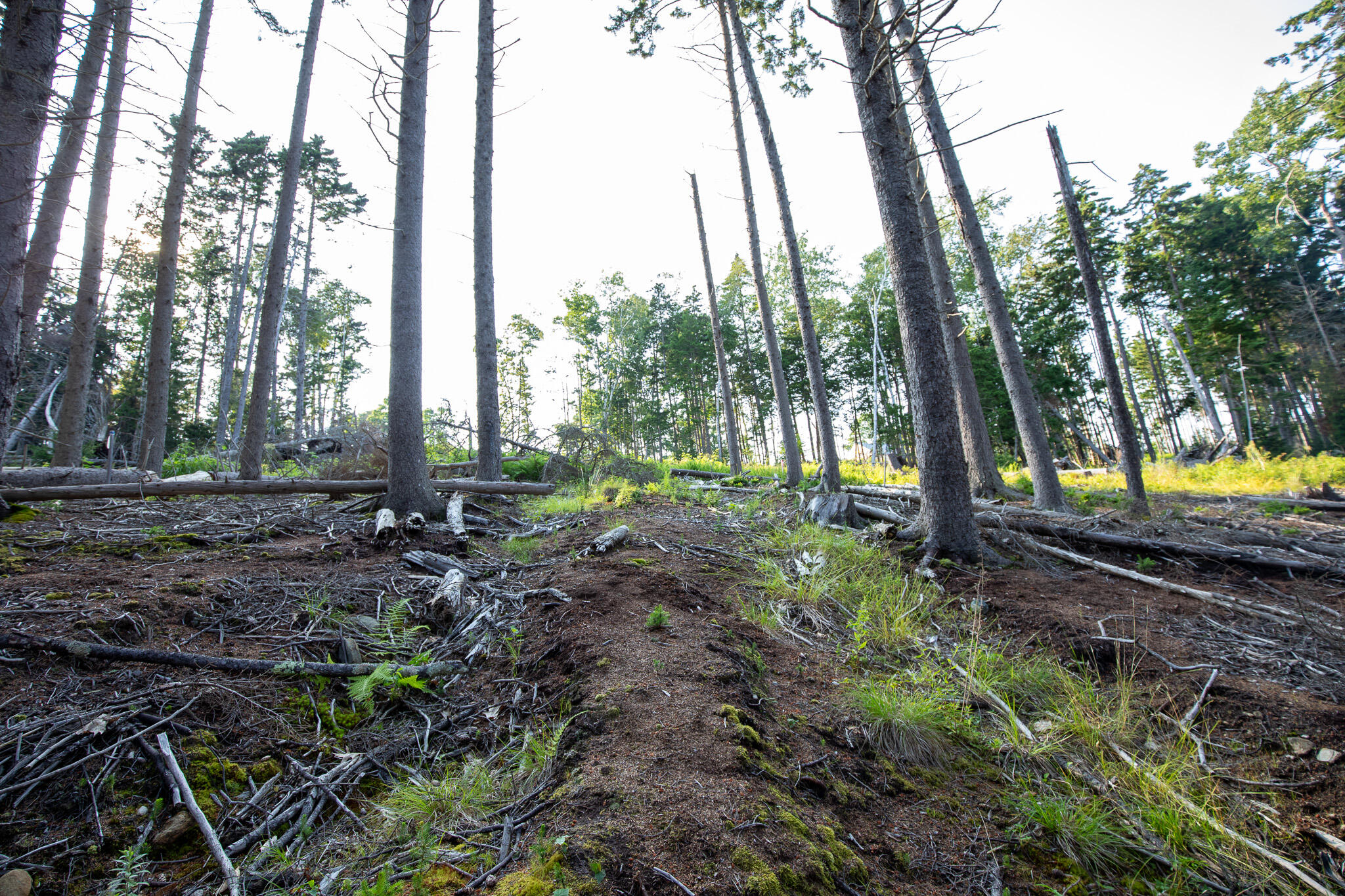 0 Bayview Road UNIT 2, Harpswell, ME, 04066