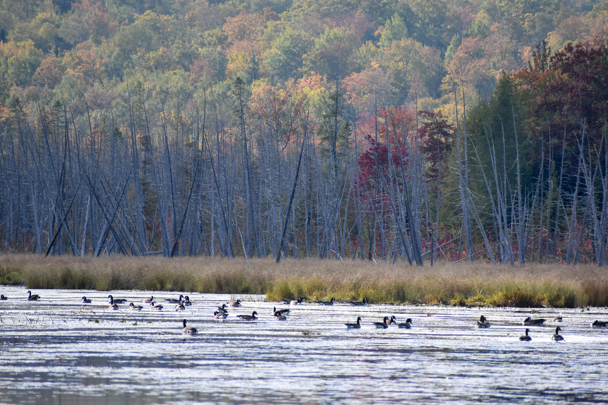 54 Carver Road, Milo, ME, 04463