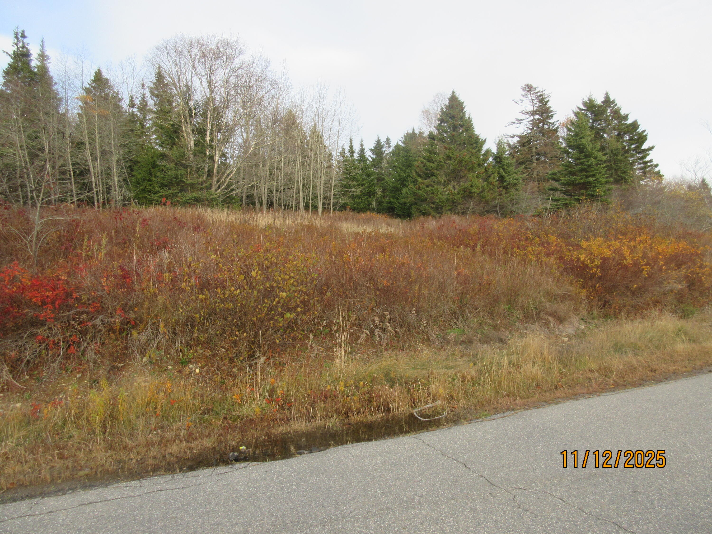 Lot 1 Smalls Point Road, Machiasport, ME, 04655