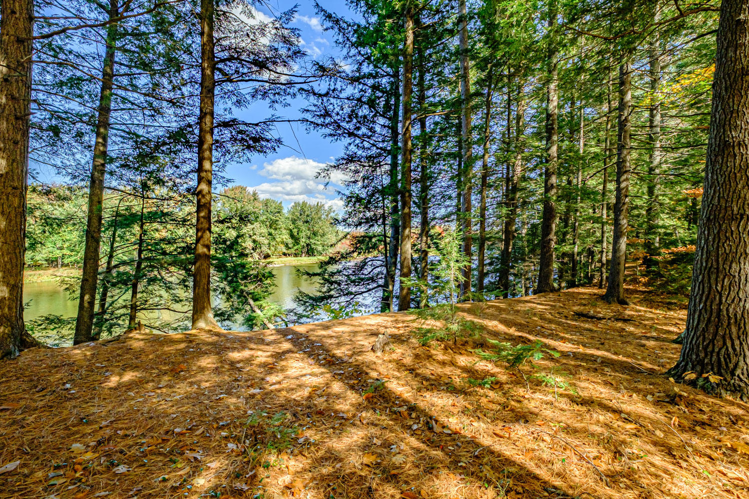 10 Oak Drive, Bethel, ME, 04217-3010