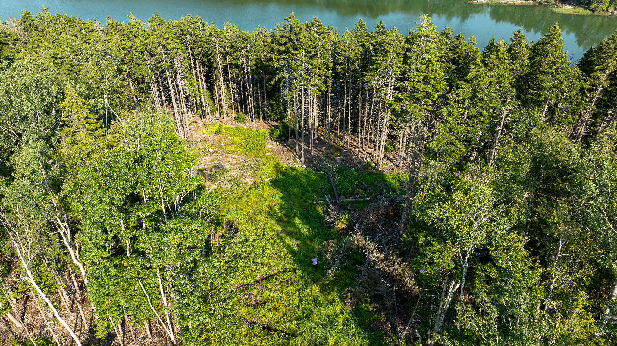 0 Bayview Road UNIT 2, Harpswell, ME, 04066