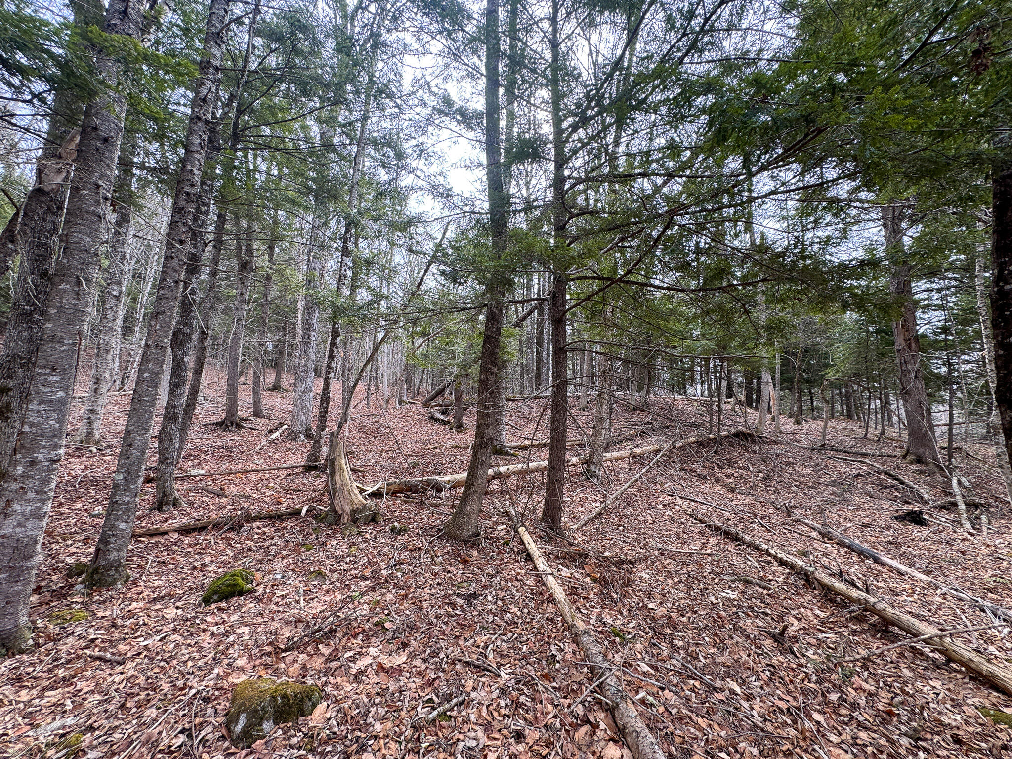 M11L10 Off Gordon Hill Road, Thorndike, ME, 04986