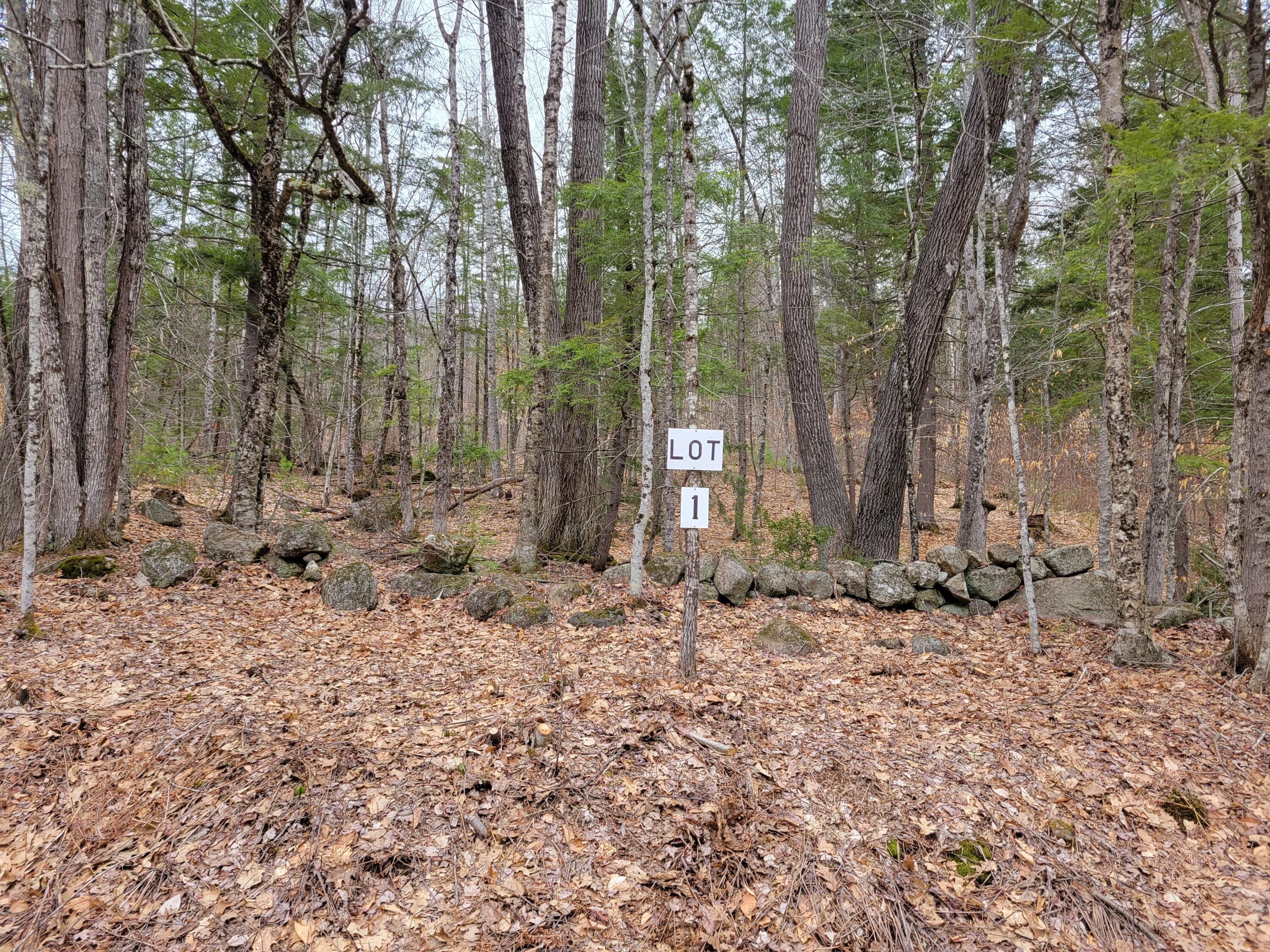 Lot UNIT&nbsp;1 W West Fryeburg Road, Fryeburg, ME, 04037