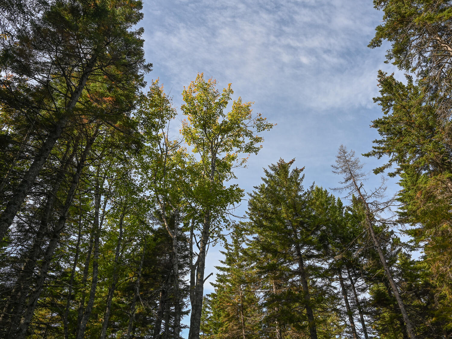 000 Seawall Map/Lot 17/11-04, Southwest Harbor, ME, 04679